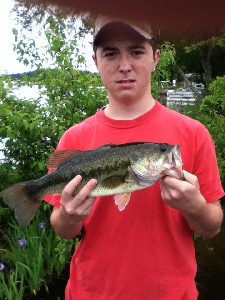 brushhog