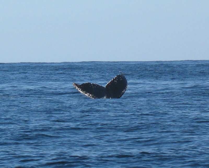 September 2009 Cape Cod fishing trip.