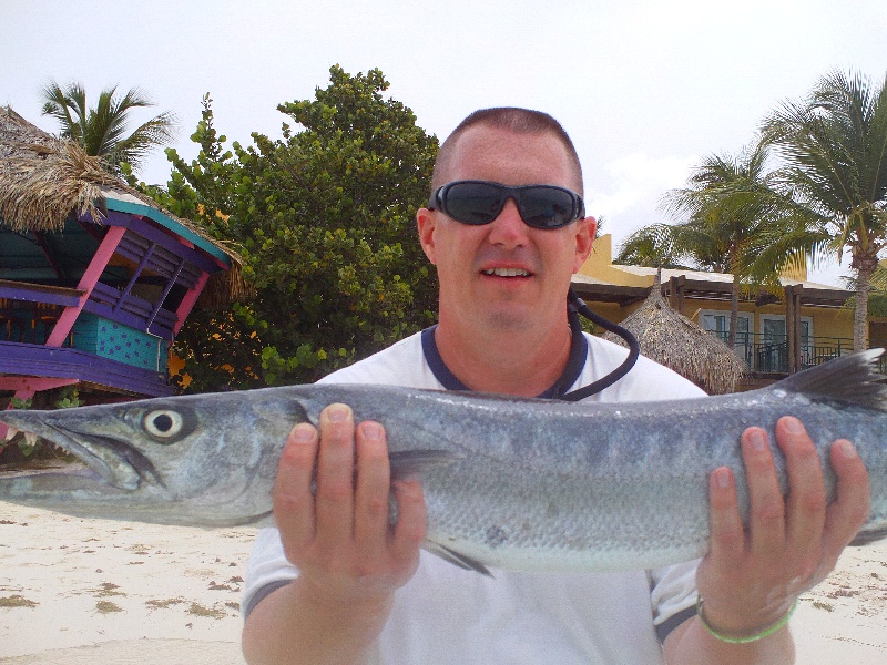 A big Barracuda