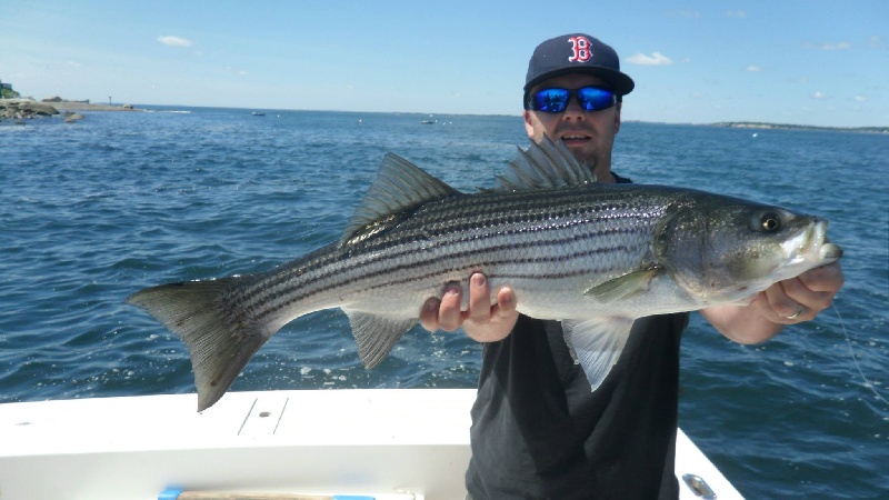 Striper Fishing